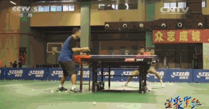 1119416569_14715291010511n.gif